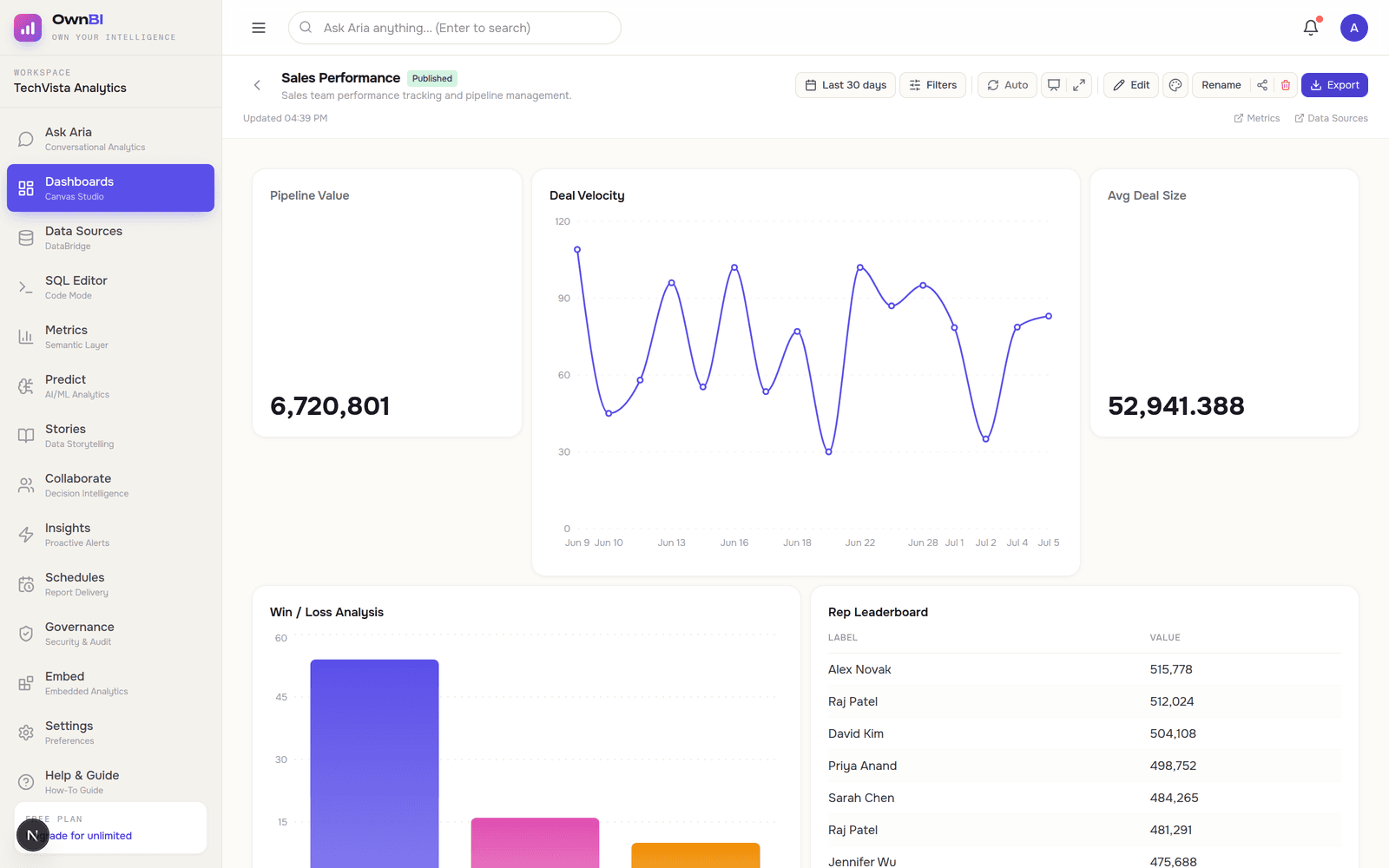 OwnBI — actual product interface