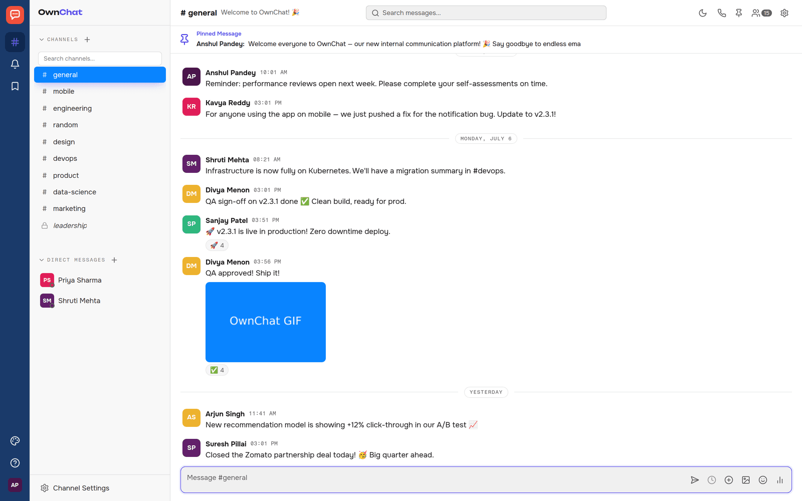 OwnChat — actual product interface